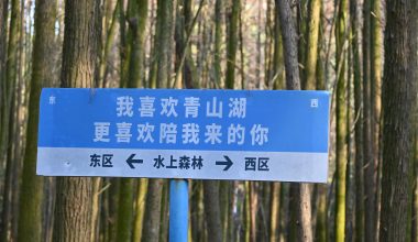 三月第一个周末-杭州青山湖 - Regret的小站